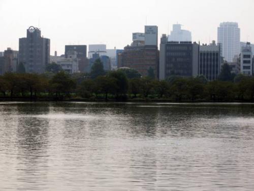 Ueno Park Â· ä¸Šé‡Žå…¬åœ’