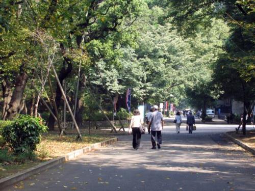 Ueno Park Â· ä¸Šé‡Žå…¬åœ’