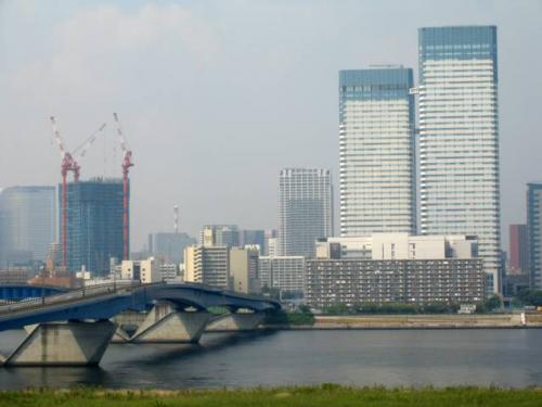 Tokyo Bay Â· æ±äº¬æ¹¾