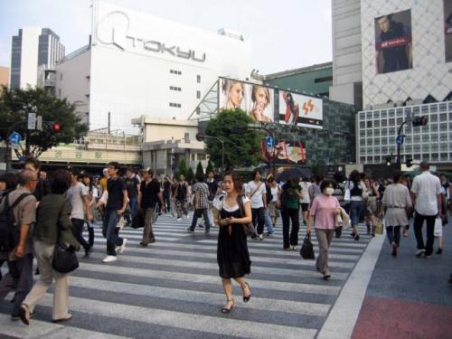 Shibuya Â· æ¸‹è°·åŒº