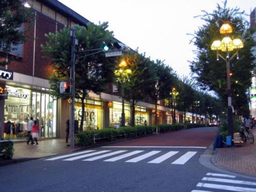 Shinjuku Â· æ–°å®¿åŒº