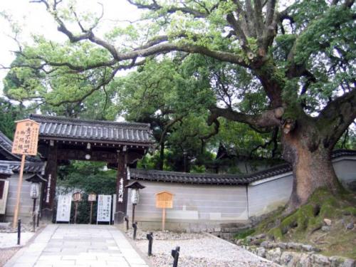 Shōren-in · 青蓮院