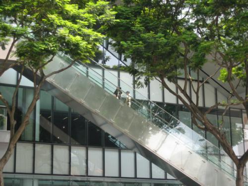 Orchard Road