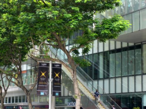 Orchard Road