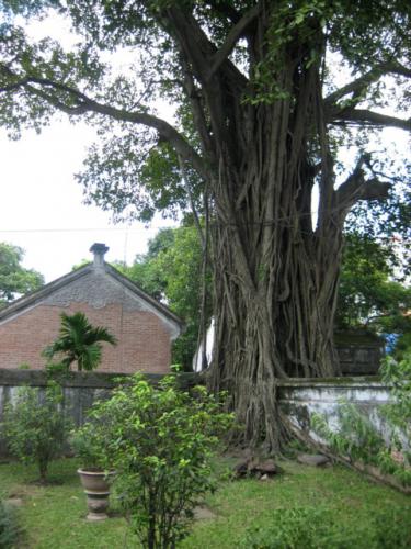 Temple of Literature · Văn Miếu