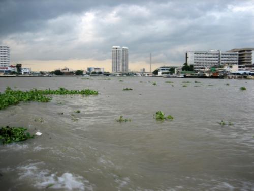 Chao Phraya · แม่น้ำเจ้าพระยา